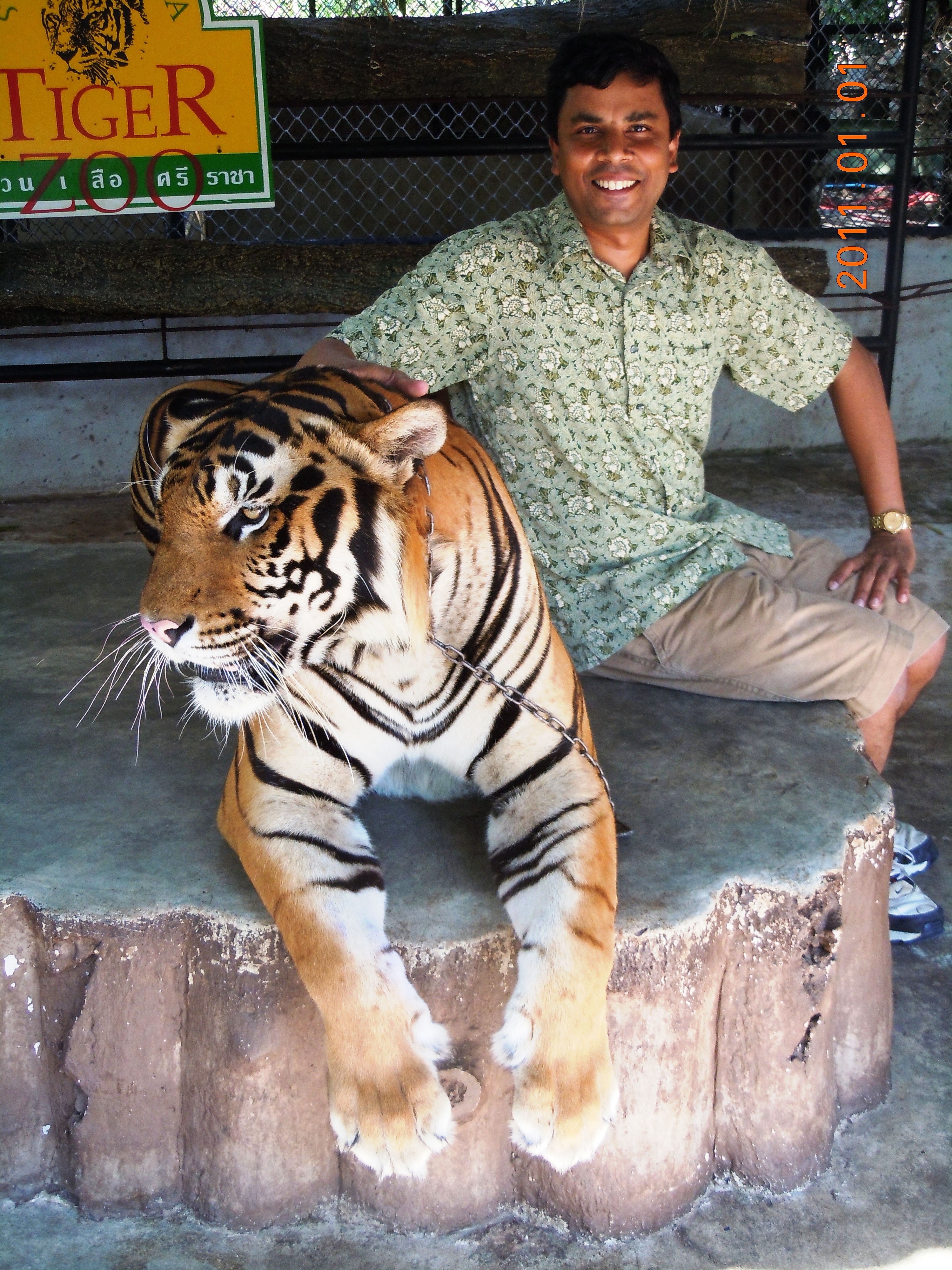 K Posing with the Tiger