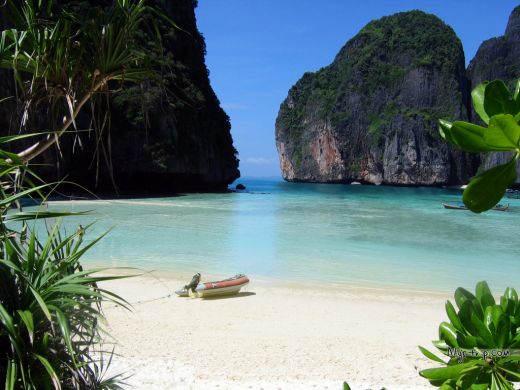 The phenomenal beach in the movie is actually Phi Phi Island 