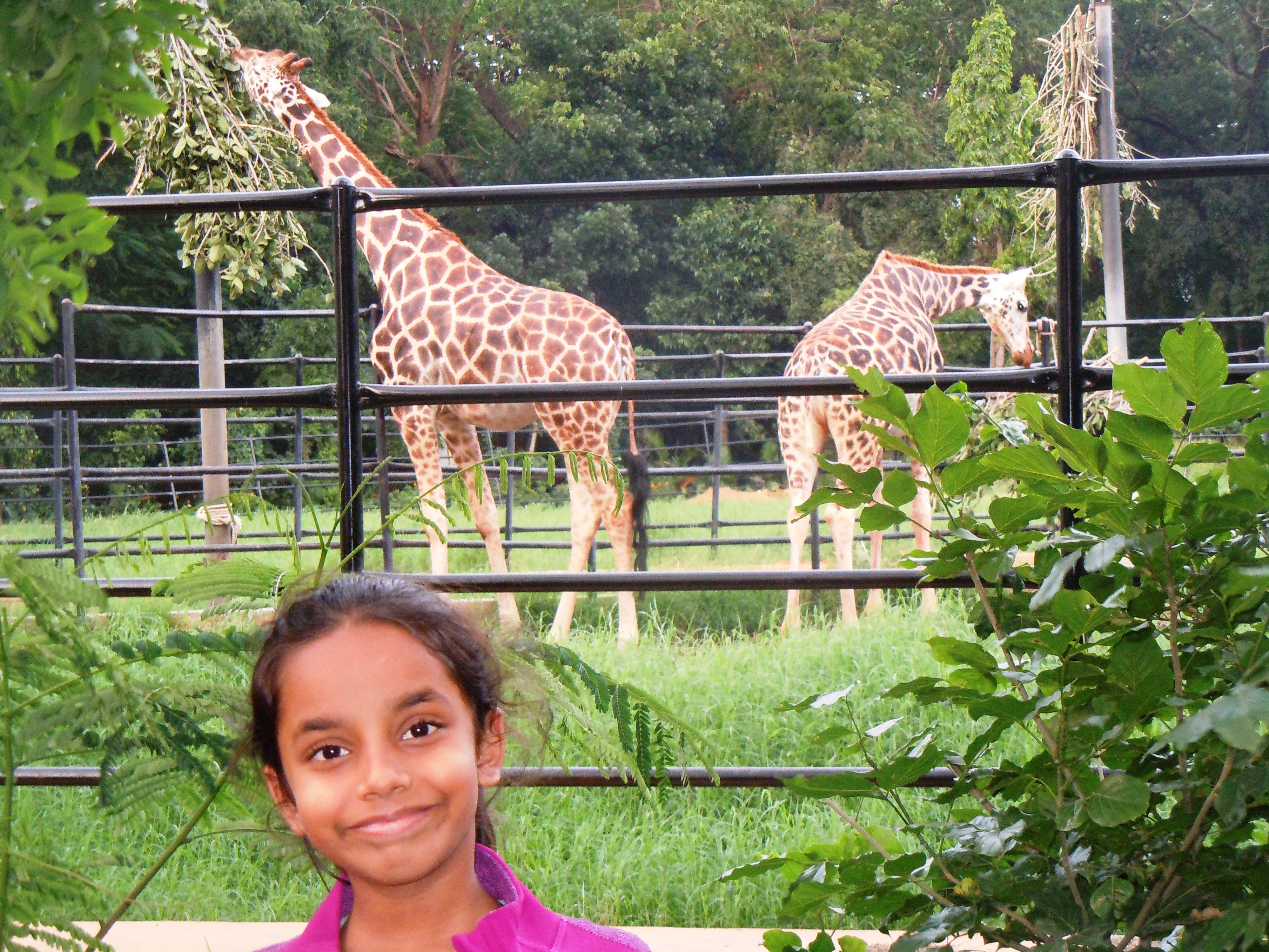 Posing in front of the giraffes