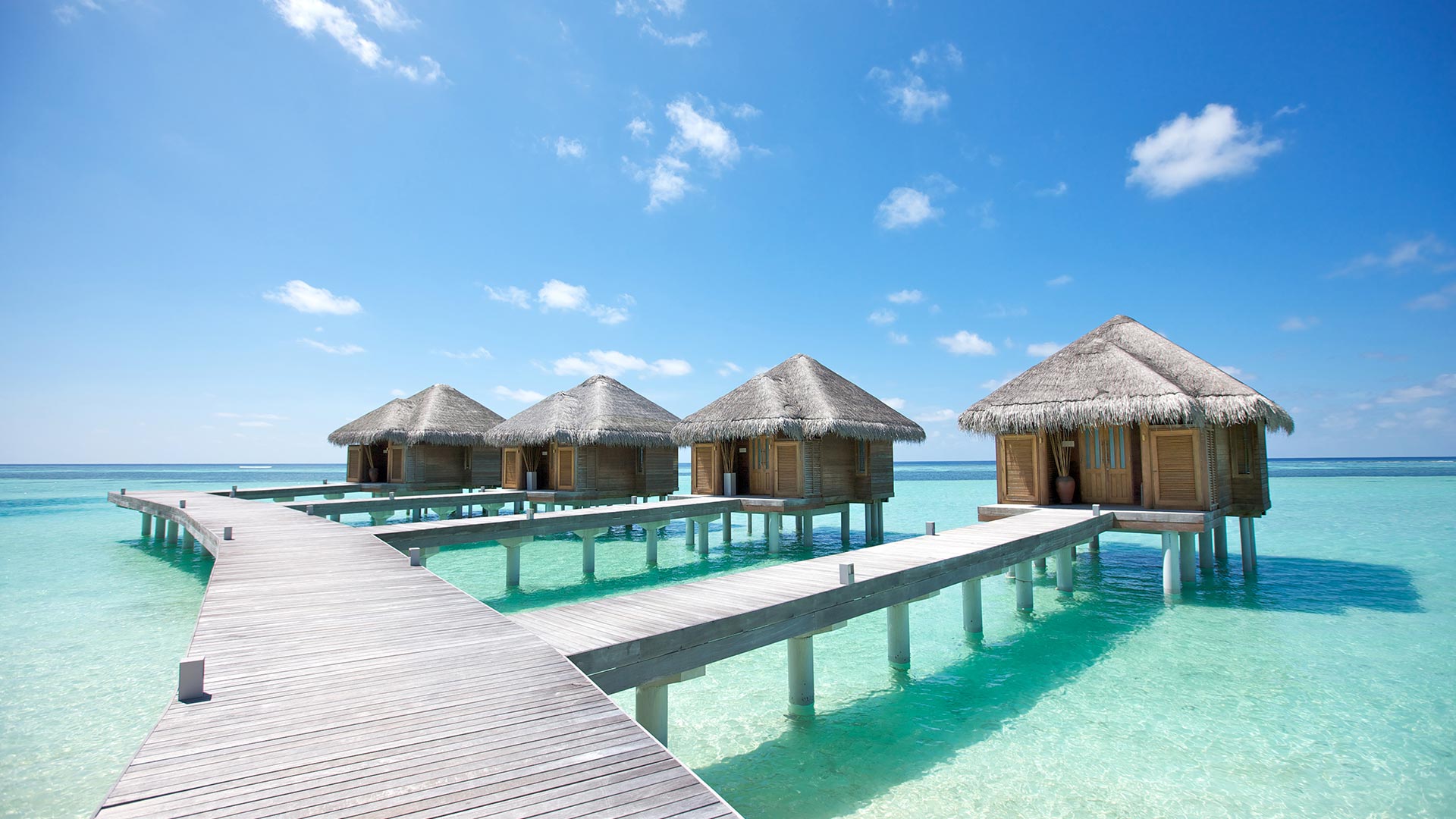 Beautiful Maldives!
