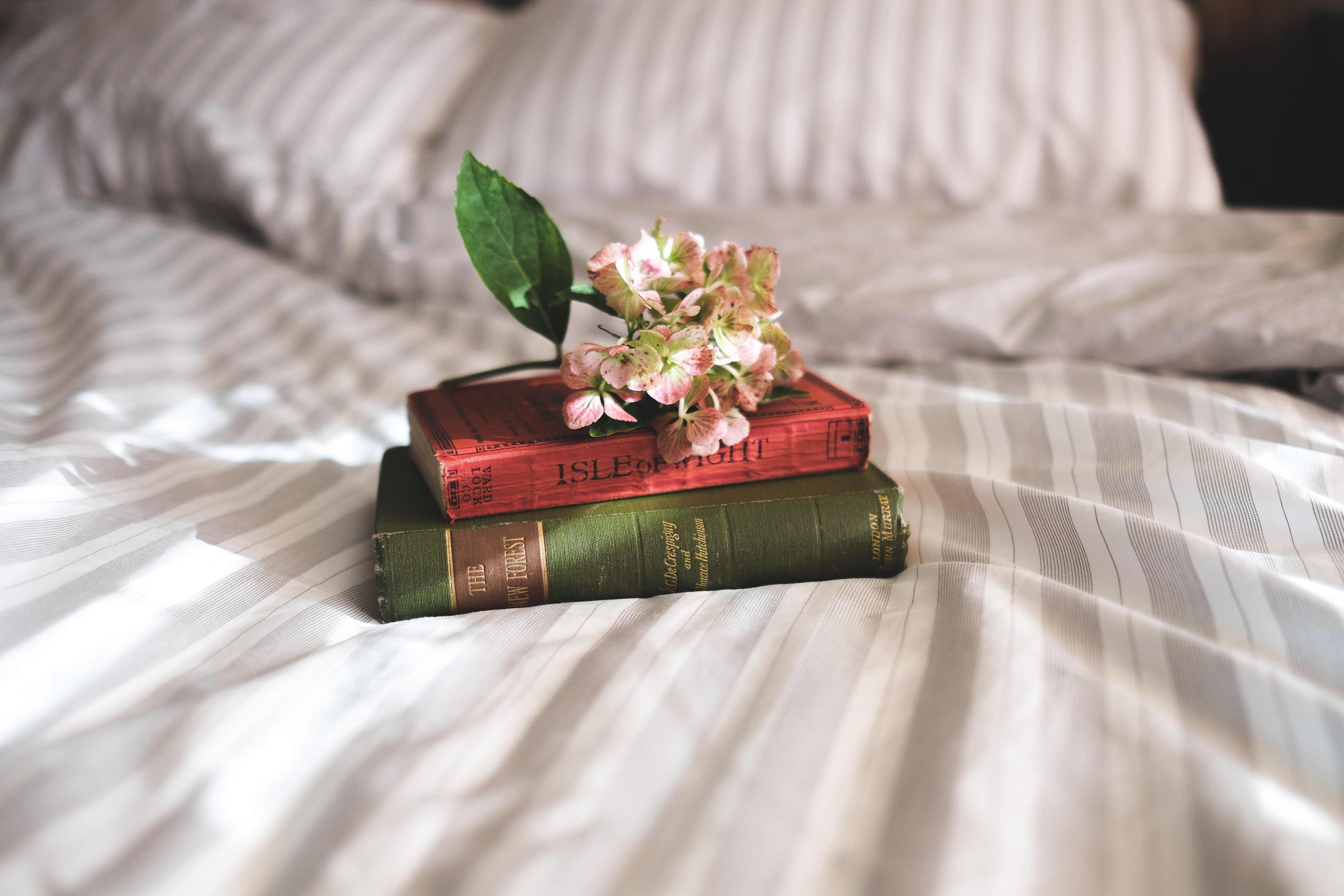 Сон стопка. Annie Spratt цветы. Книга цветы. Книги Эстетика. Цветы на кровати.