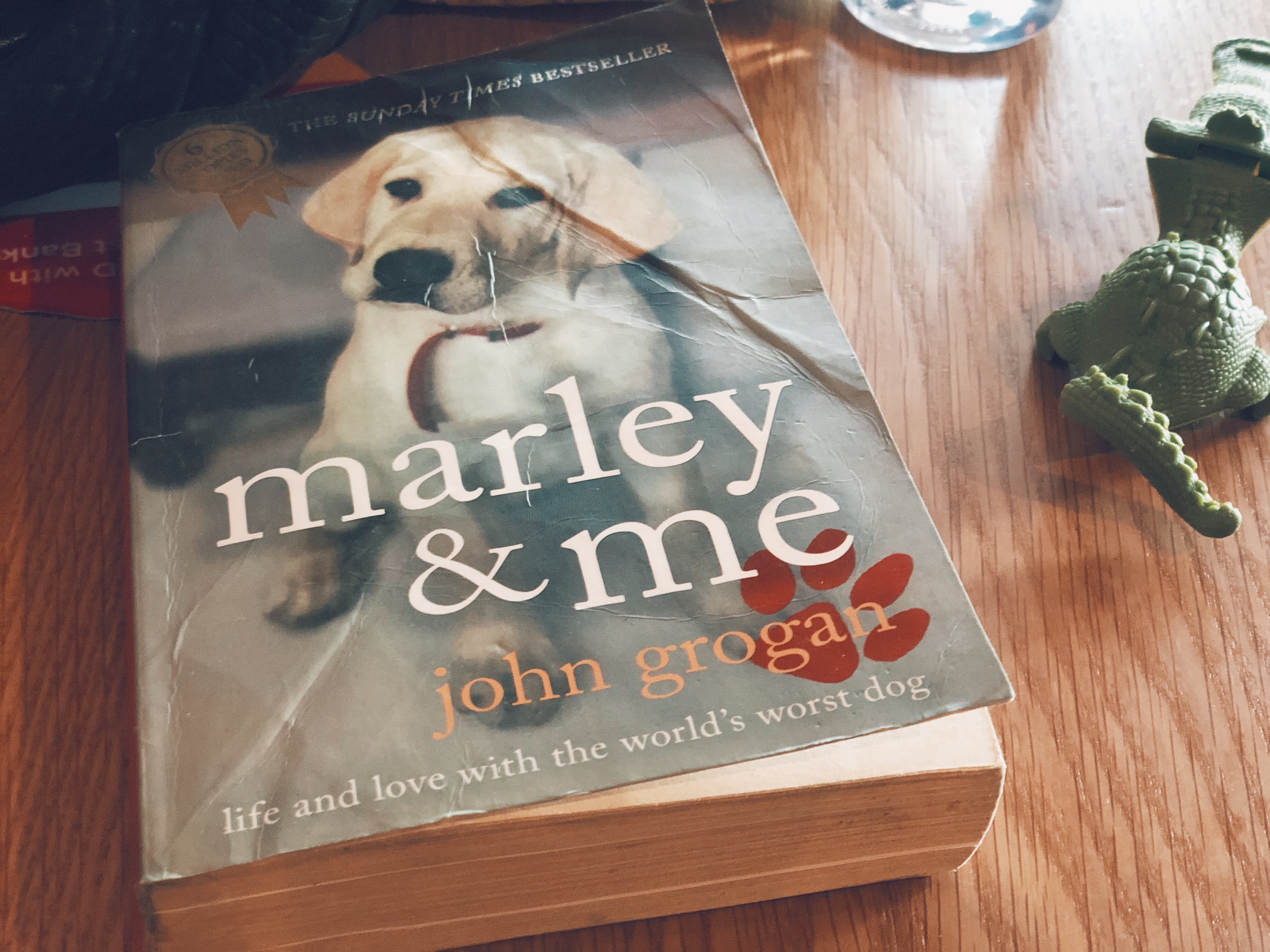 Marley And Me Book Summary / Marley And Me By Andy Hopkins - The story ...