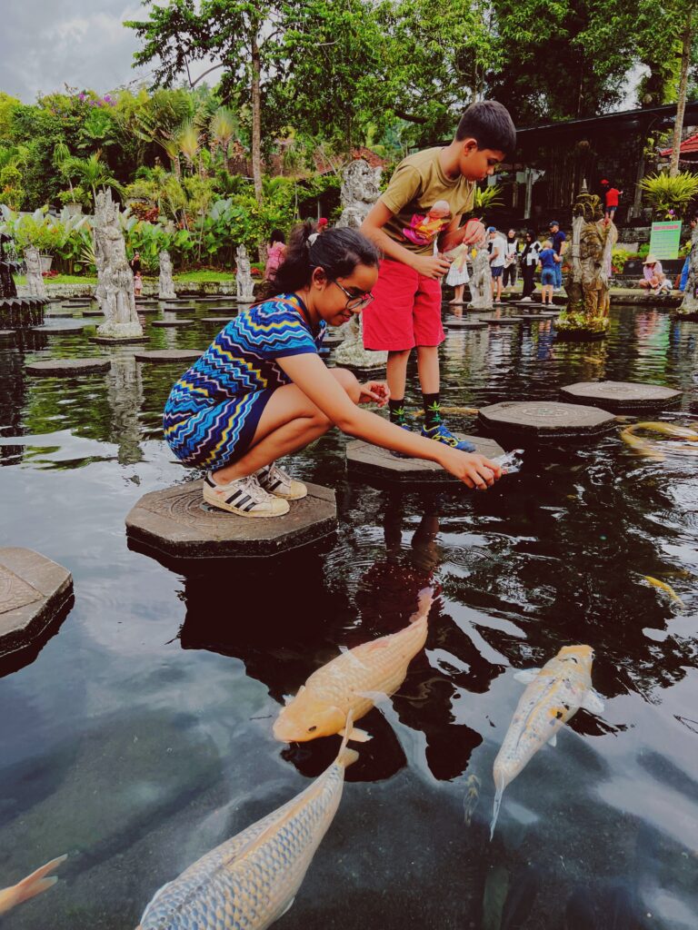 Piglet sometimes got a bit frustrated that the koi were eating more bread from his sister's hands than his.